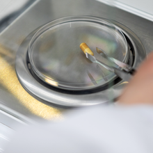 画像をギャラリービューアに読み込む, NMN極|KIWAMI